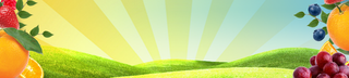 Banner image of article on Tips For Cooking With Olive Oil