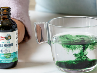 Banner image of article on The Benefits of Liquid Chlorophyll