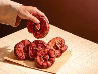Banner image of article on Pecan Pie Reishi Mushroom Mocktail