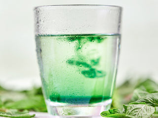Banner image of article on Chlorophyll Mint Mojito Recipe: A Refreshing Liquid Chlorophyll Beverage