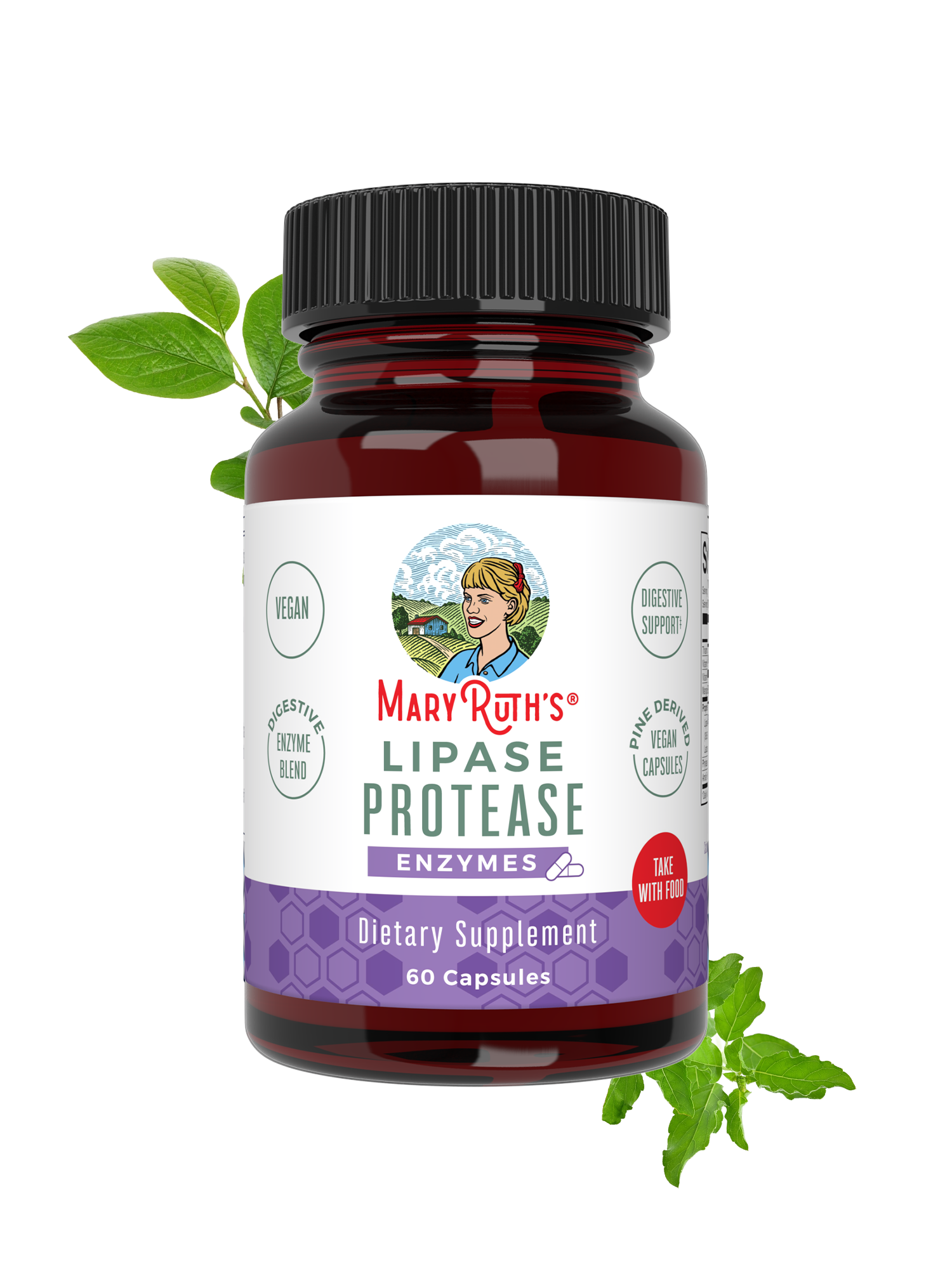 Lipase Protease Enzymes