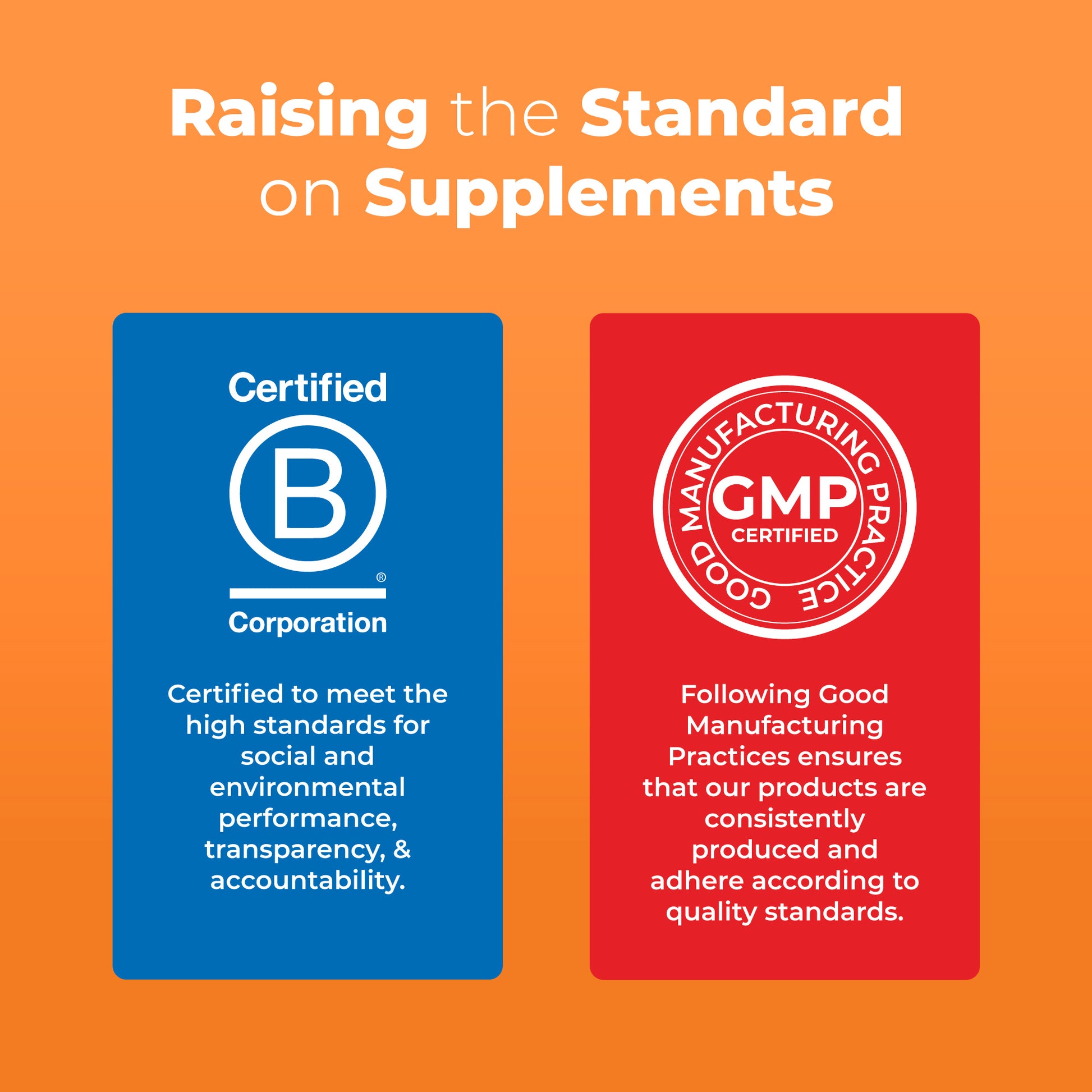 Adult Multivitamin Gummies 6