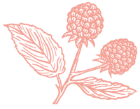 Organic Menopause Gummies