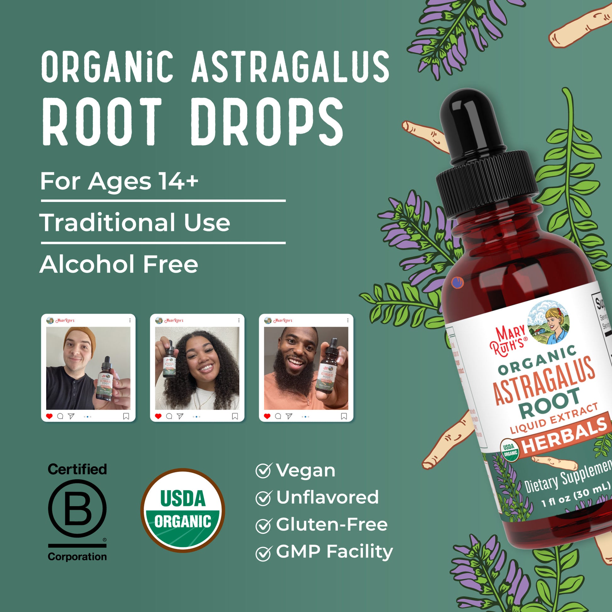 Organic Astragalus Root Herbal Drops 8
