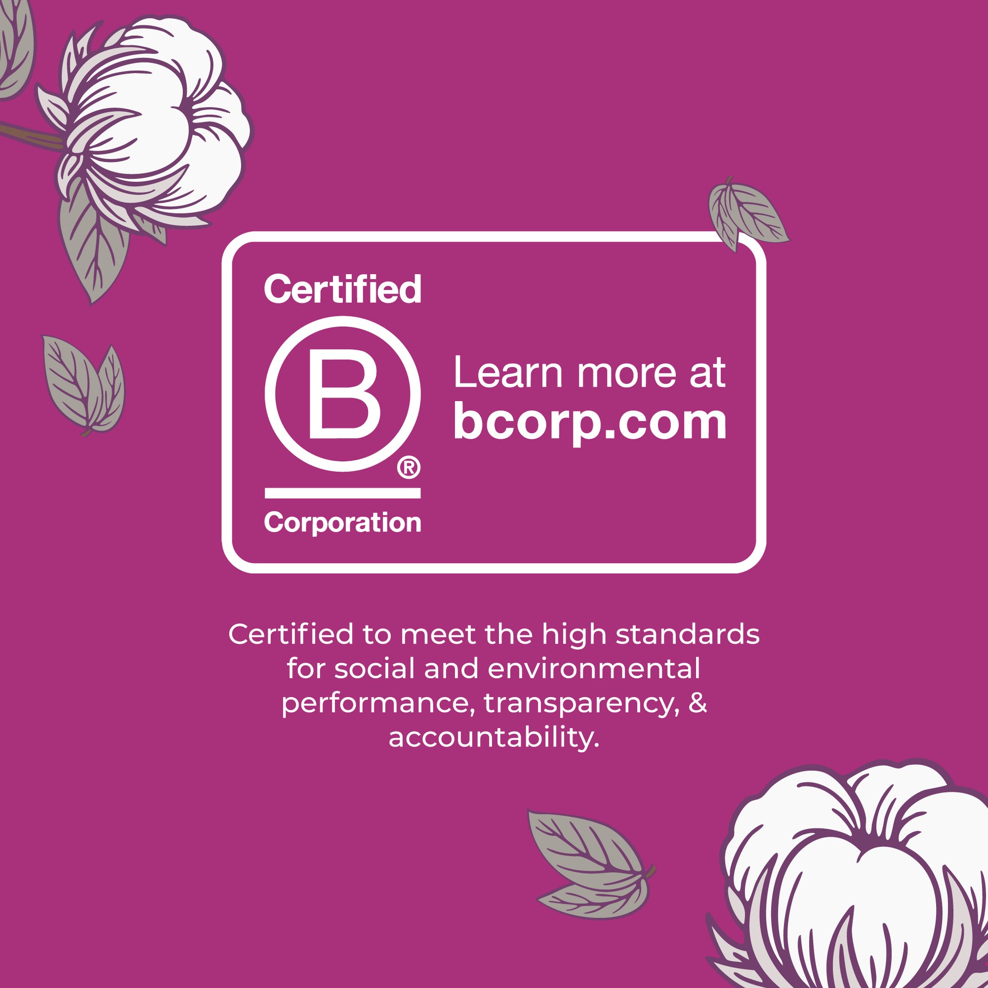 Organic Cotton Cover Liners Ultra-Light Flow 30ct Certified Bcorp