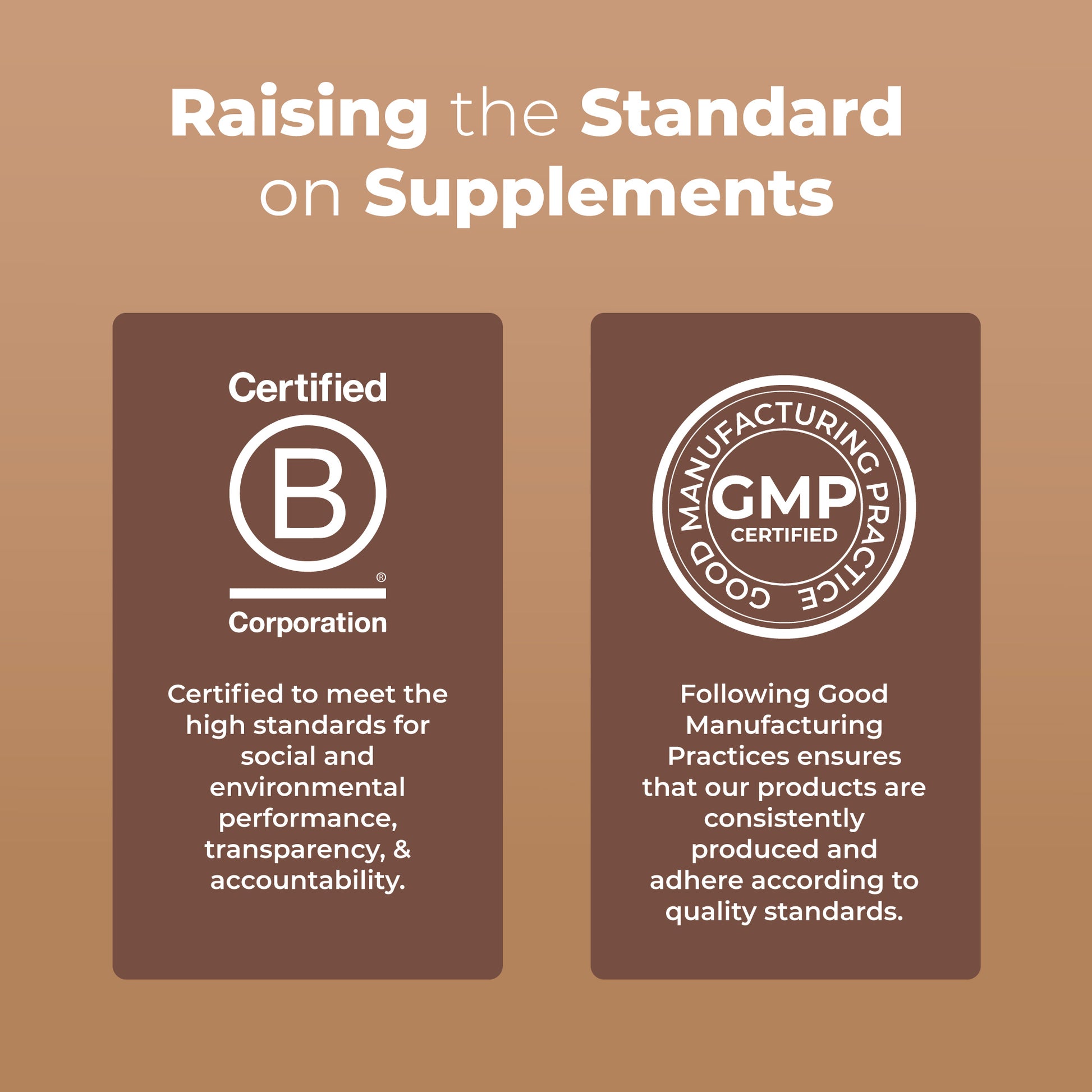 Organic Mushroom Complex Liquid Drops B Corp Clean Label Project Certified