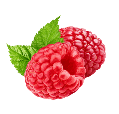 mocktail flavor