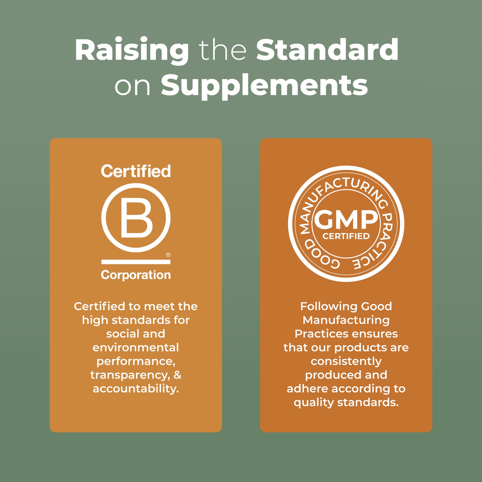 Reishi Mushroom Liposomal (Candied Pecan) 7 oz B Corp Clean Label Project Certified