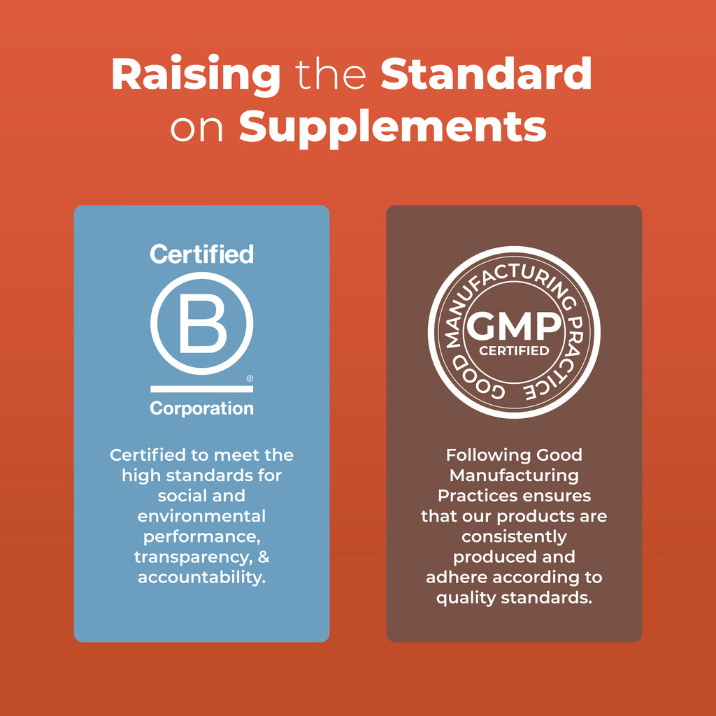 Turkey Tail Mushroom Liposomal (Chocolate Fudge) 7 oz B Corp Clean Label Project Certified